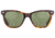 AO Saratoga Sunglasses, Tortoise, Calobar Green AOLite Nylon Lenses, 52-19-145 B42, SAR152ST--GNN