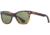 AO Saratoga Sunglasses, Tortoise, Calobar Green AOLite Nylon Lenses, Polarized, 52-19-145 B42, SAR152ST--GNN-P