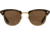 AO Sirmont Sunglasses, Chocolate Gold Frame, Cosmetan Brown AOLite Nylon Lenses, 51-21-145 B43, SIR251ST--BNN