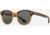 AO Times Sunglasses, Chestnut Sand Frame, True Color Gray AOLite Nylon Lenses, Polarized, 47-21-145, TIM147ST--GYN-P