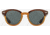 AO Times Sunglasses, Chestnut Sand Frame, True Color Gray AOLite Nylon Lenses, Polarized, 47-21-145, TIM147ST--GYN-P