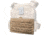 AR500 Armor Veritas Flap, Coyote, 9710