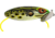 Arbogast Jitterbug Topwater Lure, 2 1/2in, 3/8 oz, Floating, Bull Frog, G600-509