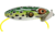 Arbogast Jitterbug Topwater Lure, 2 1/2in, 3/8 oz, Floating, Leopard Frog, G600-507