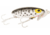 Arbogast Jitterbug Topwater Lure, 2in, 1/4 oz, Floating, Coach, G630-10