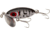 Arbogast Jitterbug Topwater Lure, 2in, 1/4 oz, Floating, Wounded Coachdog, G630-CD