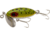 Arbogast Jitterbug Topwater Lure, 2in, 1/4 oz, Floating, Wounded Frog, G630-FW