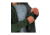Arcteryx Kyanite Jacket - Mens, Conifer, Small, 352080