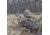 Arctic Shield T3X Backpack, Realtree Xtra, 561300-802-999-15
