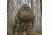 Arctic Shield T5X Backpack, Realtree Xtra, 561500-802-999-15