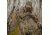 Arctic Shield T5X Backpack, Realtree Xtra, 561500-802-999-15