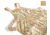Armageddon Gear Gunsmith Apron, Coyote Brown, AG0583-CB