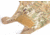 Armageddon Gear Gunsmith Apron, MultiCam, AG0583-MC