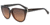Armani EA4027 Bifocal Prescription Sunglasses EA4027-519818-57 - Lens Diameter 57 mm, Frame Color Transparent Brown