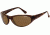 Arnette Arnette Raven Sunglasses, Havana AN4188-03BI