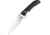 Artisan Cutlery Sea Snake Fixed Blade Black Knife, 1842B-BK
