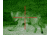 ATN ARES4x-4 Nightvision Weapon Sight NVWSARS440