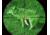 ATN ARES6x-2 Nightvision Weapon Sight NVWSARS620