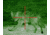 ATN ARES6x-WPT Nightvision Weapon Scope NVWSARS6WP