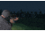 ATN Night Arrow 4-WPT 4x Night Vision Weapon Sight NVWSNAR4W0