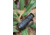 ATN BlazeTrek-625 1.7x - 13.5x Thermal Imaging Monocular 12 Micron, 640x512, Black, TIMNBLT625