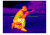 ATN Mini-Thor 320-3x Thermal Imaging Weapon Sight TIWSMT323C