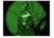 ATN Night Scout VX, Night Vision Binocular, 1+ Gen 40 lp/mm NVBNNSCV10