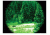 ATN Night Shadow II Generation Night Vision Binocular