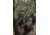 ATN Thor-LT Thermal Rifle Scope, 3-6x50mm, 30mm Tube, Mossy Oak Break-Up Country, TIWSTLT136XBC