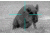 ATN Thor320-9-36x, 336x256, 100mm, 60Hz, 17 micron Thermal Weapon Sight TIWSMT339A