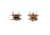 Atwood Pilot Water Heater Replacement Parts Thermostat/E.C.O. 110 Vac, 91873