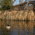 Avery Outdoors KillerWeed Boat Blind Kit,All Terrain 47203
