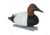 Avery Outdoors PG Canvasbacks, 1/2 dozen, 77150