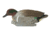 Avery Outdoors PG FFD Elite Green-Winged Teal, 1/2 dozen, 74122