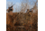 Avery Outdoors Real Grass,Timber Grass Brown 4-Pack Bag 39012