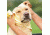 Avery Sporting Dog Dogsorber Dry Towel 2800