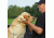 Avery Sporting Dog Dogsorber Dry Towel 2800