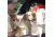 Avery Sporting Dog Dogsorber Dry Towel 2800