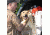 Avery Sporting Dog Dogsorber Dry Towel 2800