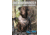 Avery Sporting Dog Duck Dog Basics 2 DVD 89994