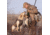 Avery Sporting Dog Jr. Ruff Stand,Marsh Grass 90018
