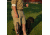 Avery Sporting Dog Leather Line Lead 2171