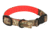 Avery Sporting Dog Reversible Collar,Small,KW-1 to Blaze Orange 1869