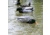Avian X Tip Up Mallard Feeder