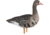 Avian X Fusion Pack AXF Specklebelly Decoy, AVX-AVX9019