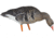 Avian X Fusion Pack AXF Specklebelly Decoy, AVX-AVX9019