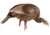 Avian X HDR Feeding Hen Decoy, Synthetic, AVXAVX8107