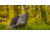 Avian X HDR Hen Decoy, Synthetic, AVXAVX8106