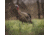 Avian X HDR Jake Decoy, Black, AVX-AVX8105