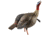 Avian X HDR Jake Decoy, Black, AVX-AVX8105